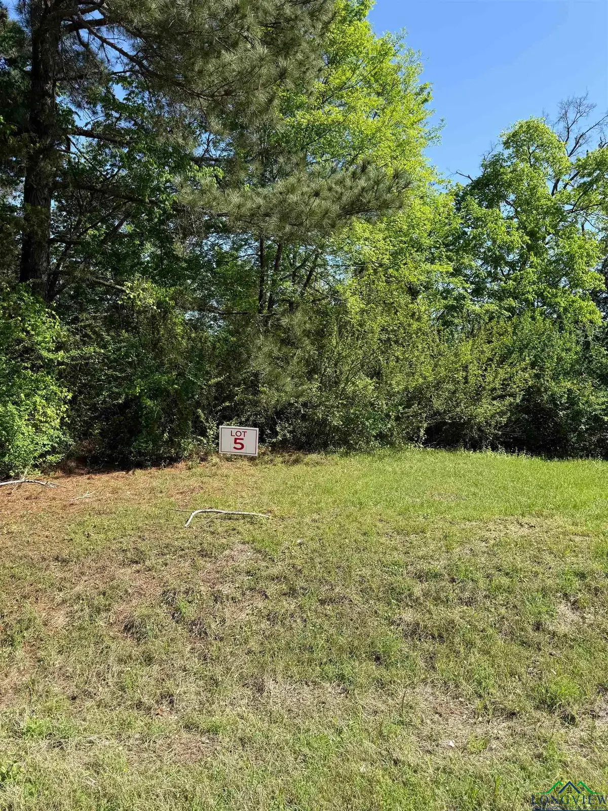 TBD LOT 5 S FM 839, Henderson, TX 75652 - Image #1