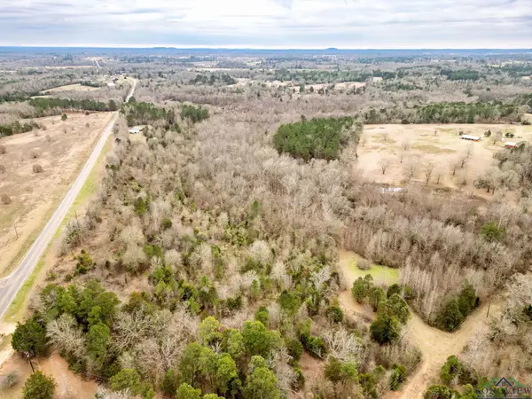 TBD FM 2454 10 acres, Gilmer, TX 75644