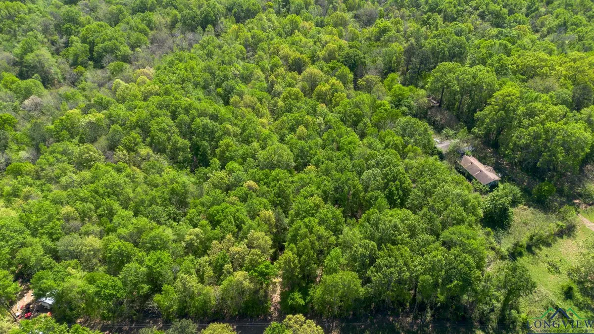 TBD Willow Point Marina Rd, Lone Star, TX 75668 - Image #1