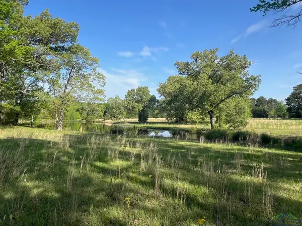 TBD CR 1755, Mount Pleasant, TX 75455