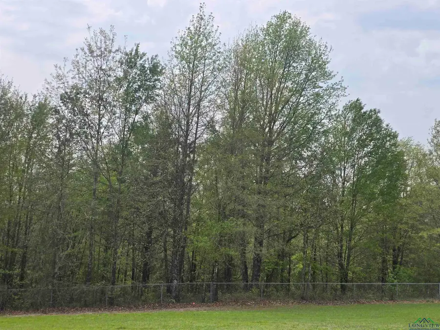 909 N Main Street, Linden, TX 75563 - Image #3