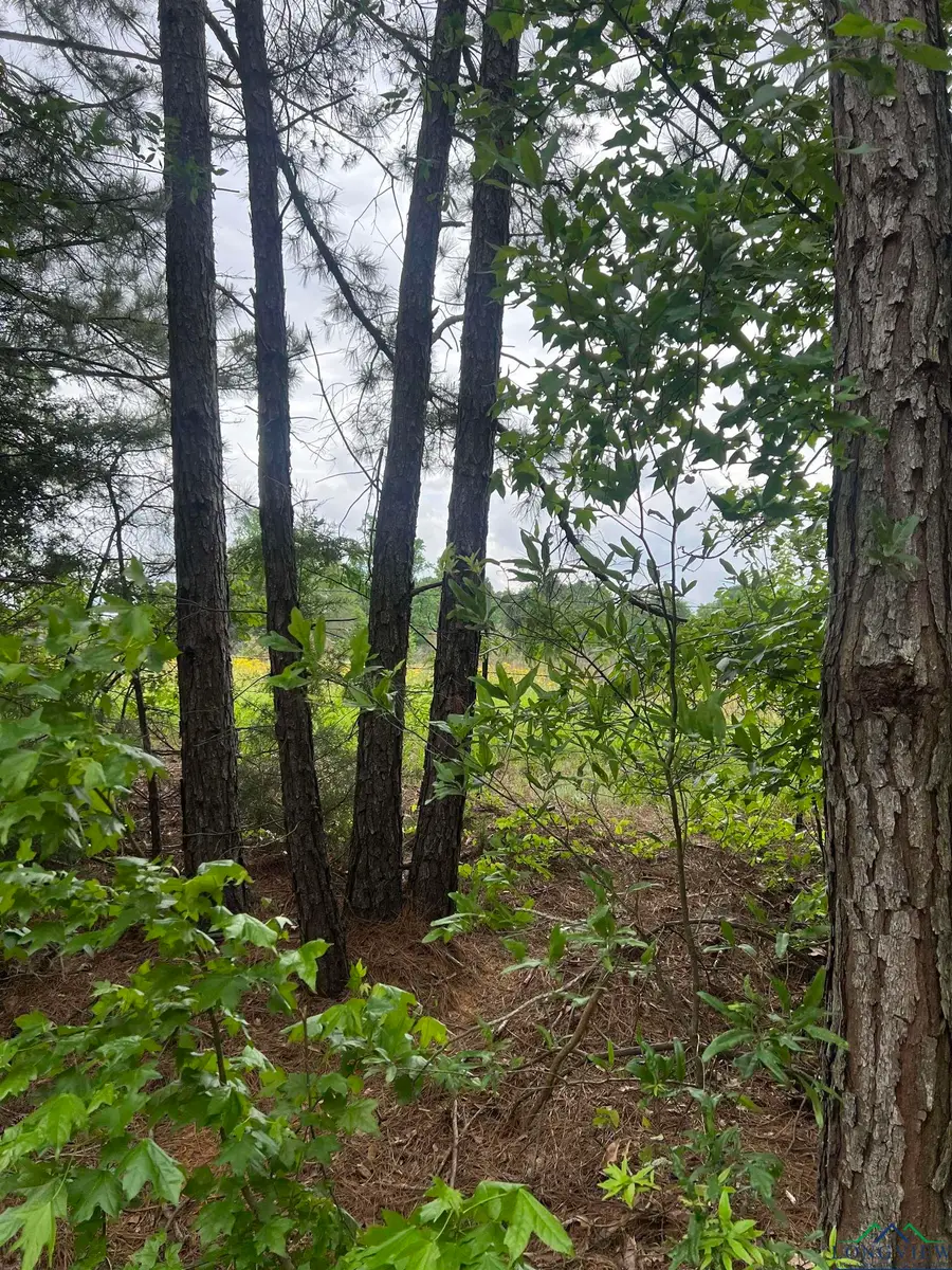 TBD CR 4610, Troup, TX 75789-9999 - Image #2