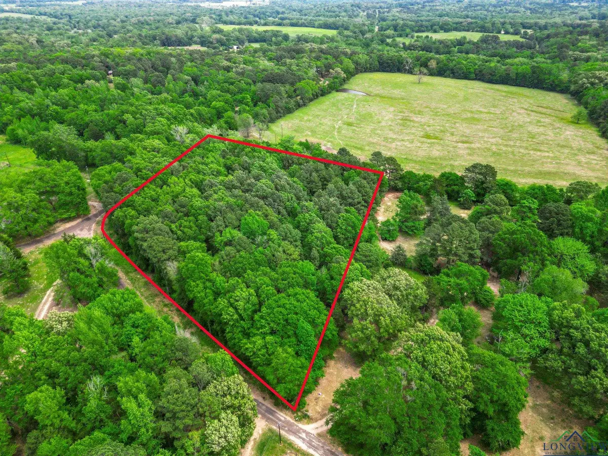 TBD Giraffe Rd, Gilmer, TX 75644 - #1