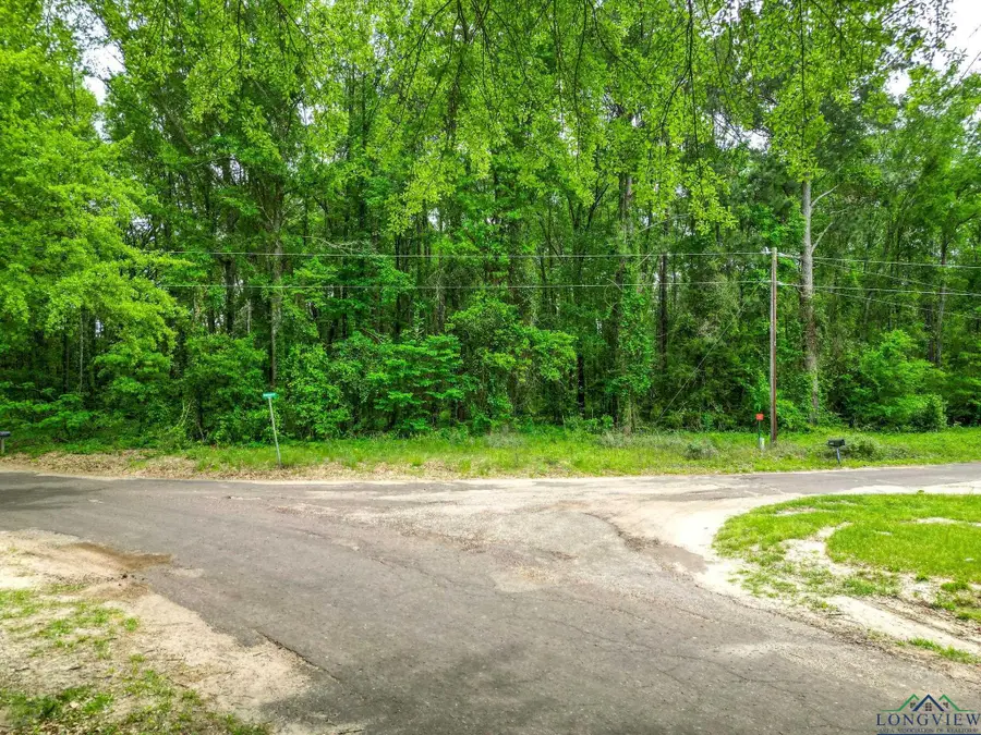 TBD Giraffe Rd, Gilmer, TX 75644 - #2