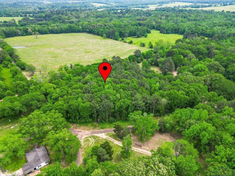 TBD Giraffe Rd, Gilmer, TX 75644 - #3
