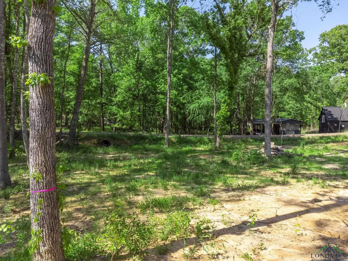 TBD Cactuswood, Gilmer, TX 75645 - Image #1