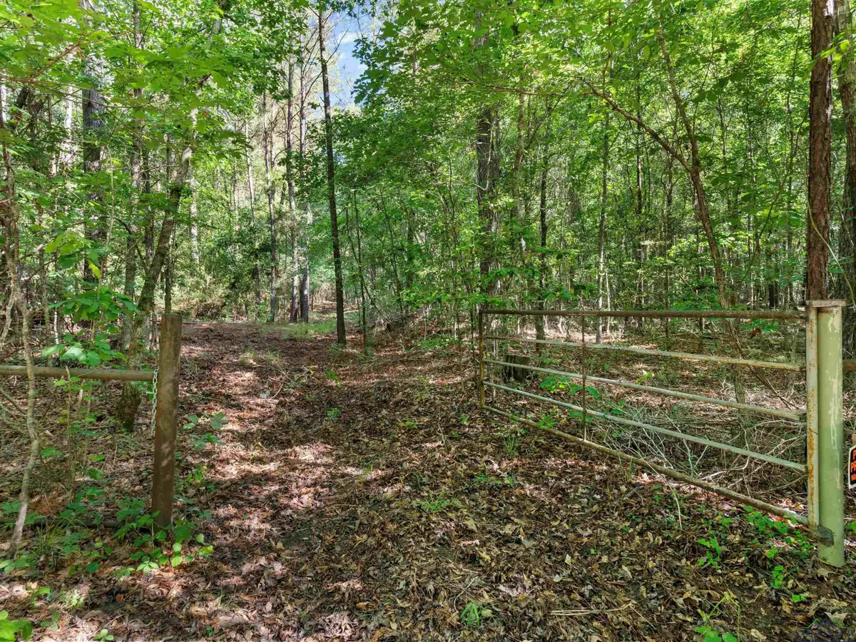 TBD Trinity Road, Jefferson, TX 75657 - Image #1