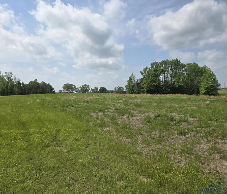 TBD Cr 4214, Naples, TX 75568 - Image #2