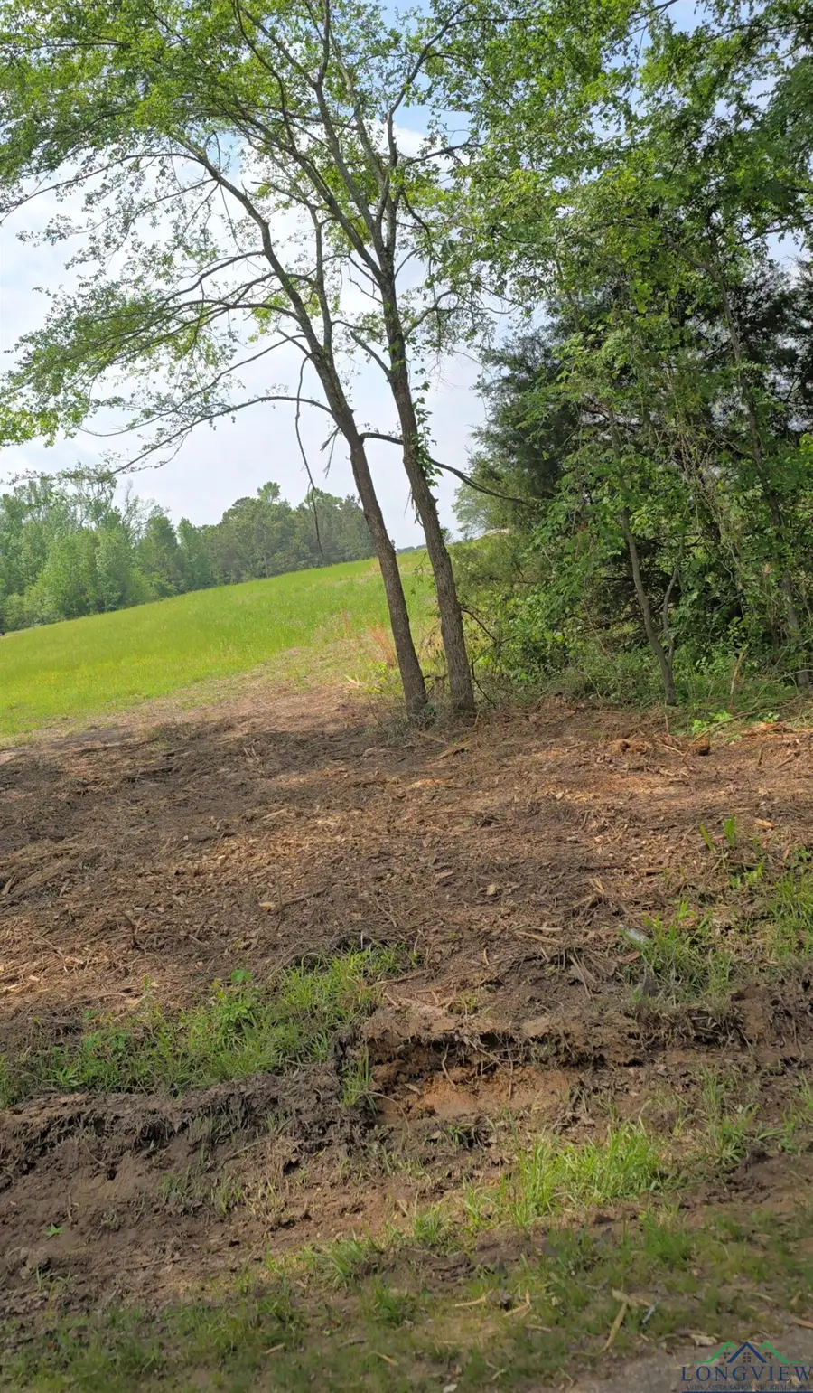 TBD Cr 4214, Naples, TX 75568 - Image #3