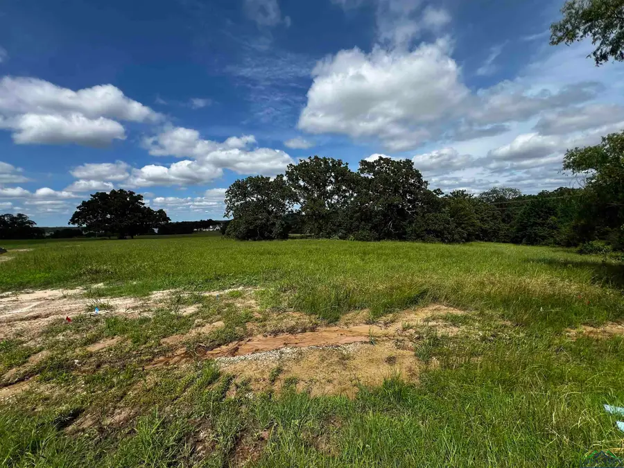 271 Overlook Point, Athens, TX 75752 - Image #2