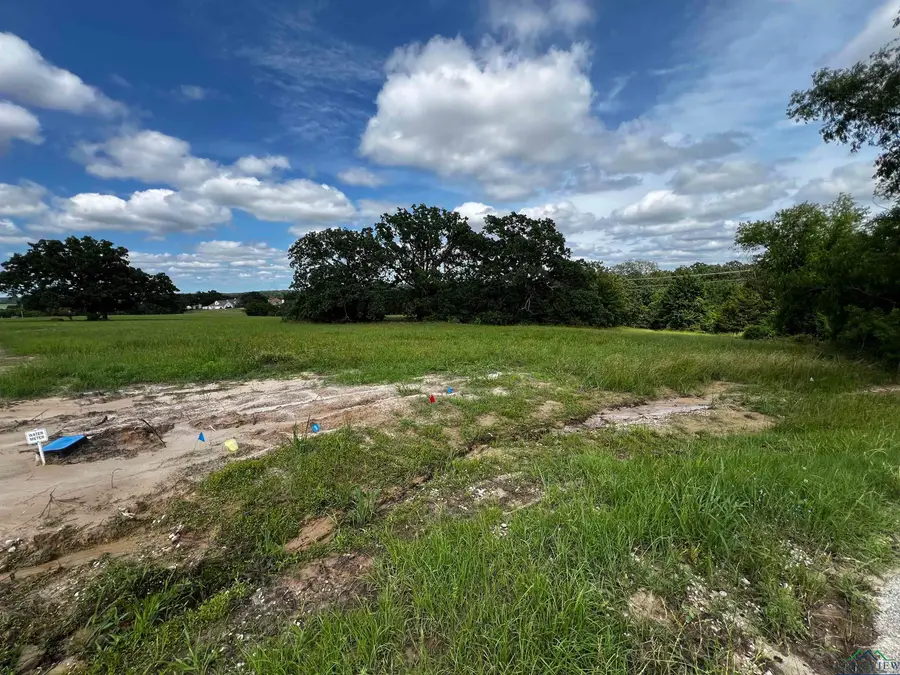 271 Overlook Point, Athens, TX 75752 - Image #3