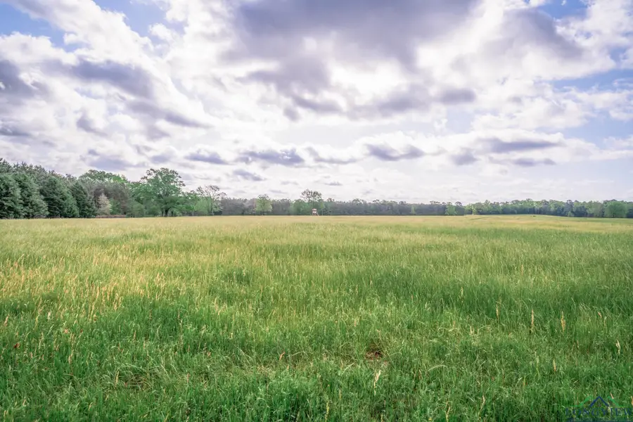 148.5 ac FM 995, Atlanta, TX 75551 - Image #2