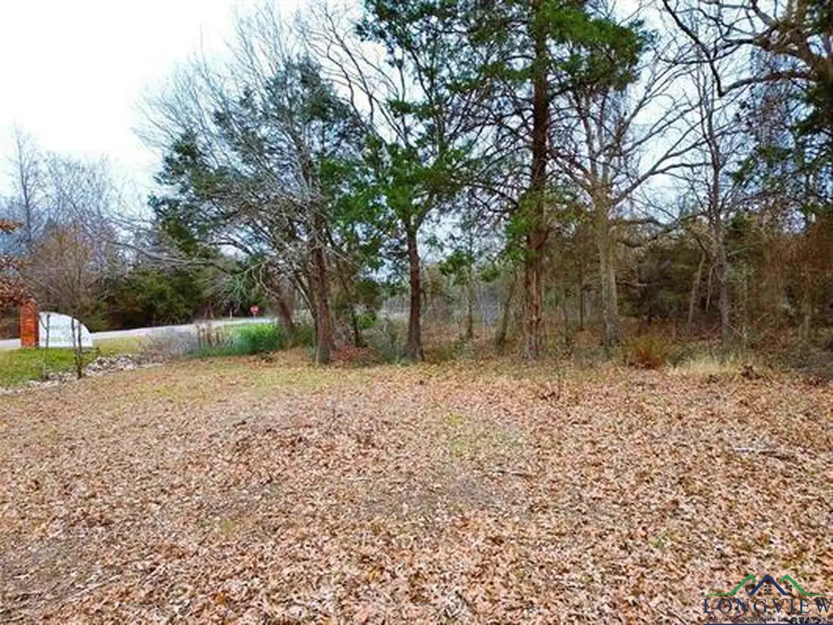 TBD CR 2330, Mineola, TX 75773 - Image #1