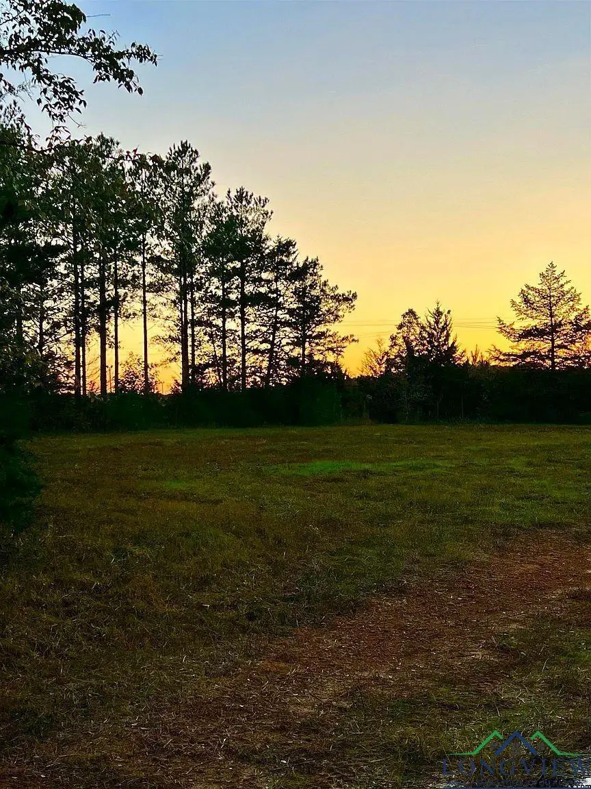TBD S FM 161 S, Hughes Springs, TX 75656 - Image #2