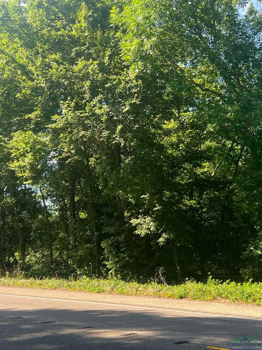 TBD N HWY 271, Talco, TX 75487 - Image #2