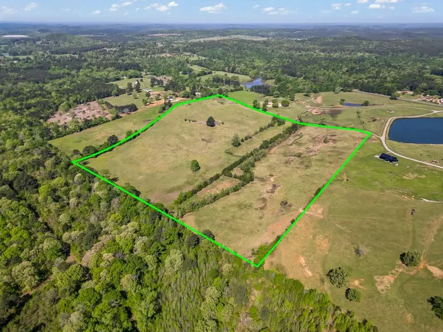 TBD Wild Daisy Road 50 Acres, Ore City, TX 75683 - Image #3