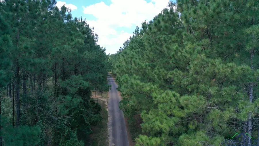 000N County Road 1926, Linden, TX 75563 - Image #2