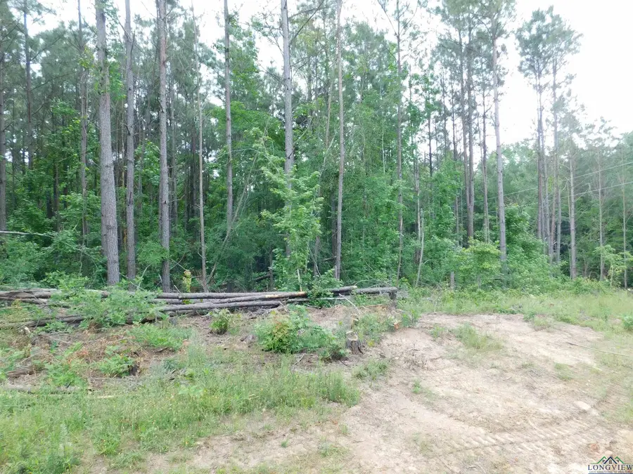 TBD MEGAN MILLS RD, Gilmer, TX 75644 - Image #2