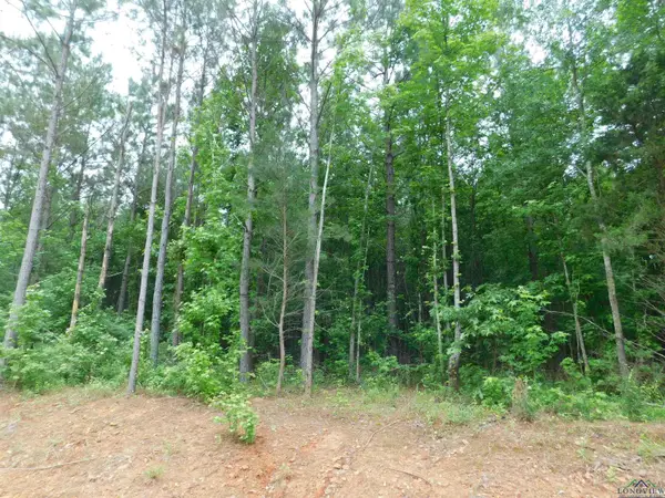 TBD MEGAN MILLS RD, Gilmer, TX 75644