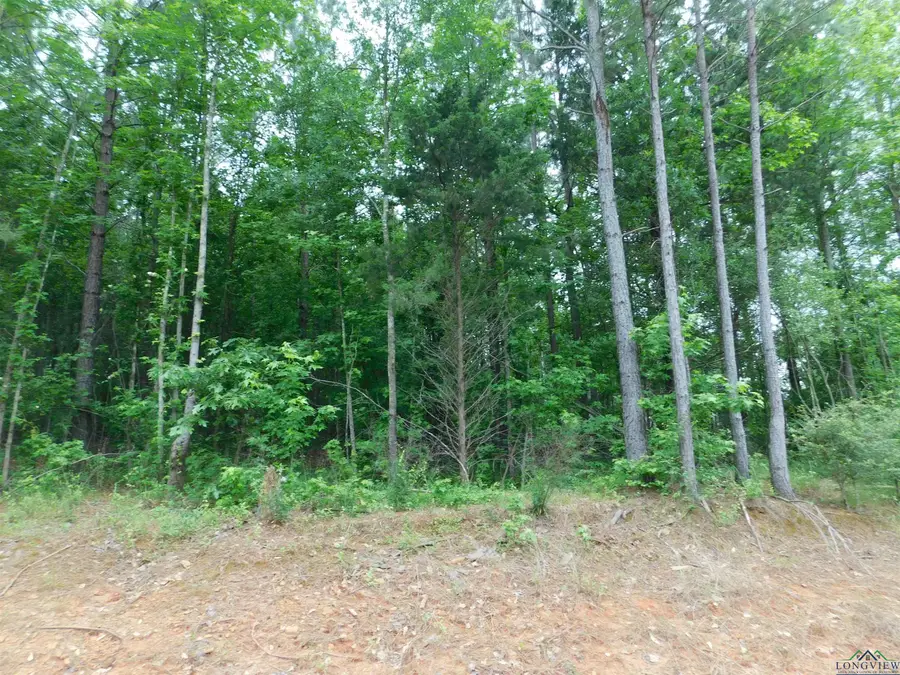 TBD MEGAN MILLS RD, Gilmer, TX 75644 - Image #2