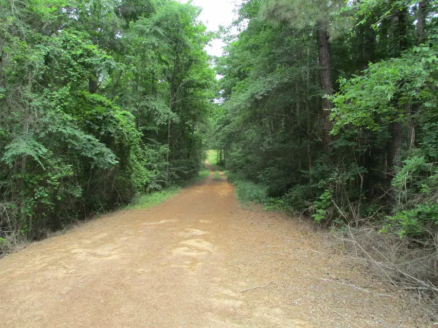 3200 block cr 102 W, New London, TX 75782-00 - Image #2