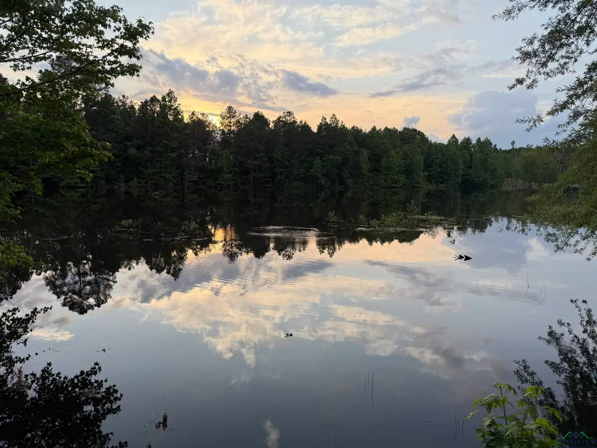 111 PR 1122, Gilmer, TX 75645 - Image #1