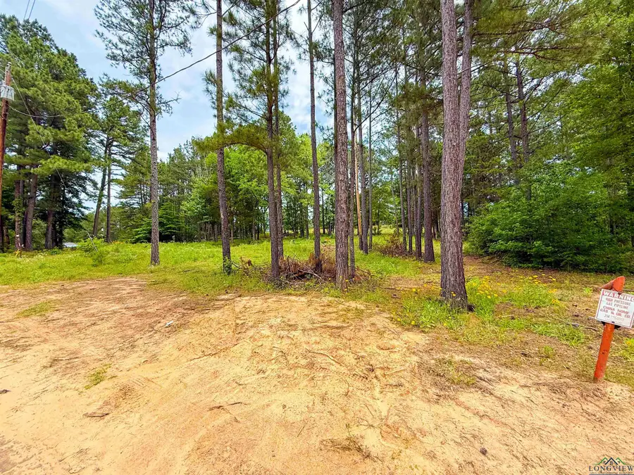 TBD CR 128, Overton, TX 75684 - Image #2