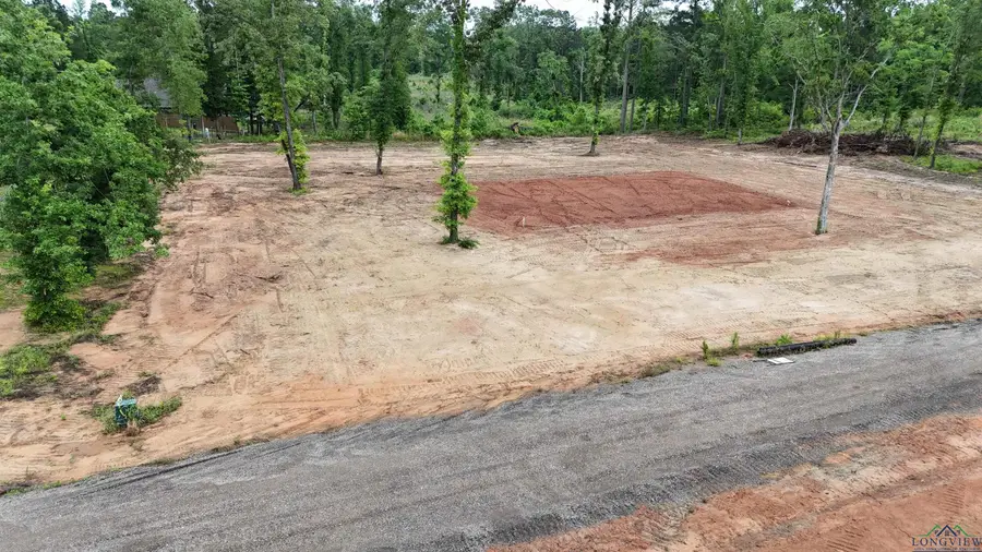 TBD lot 2 PR 1111, Diana, TX 75640 - Image #3