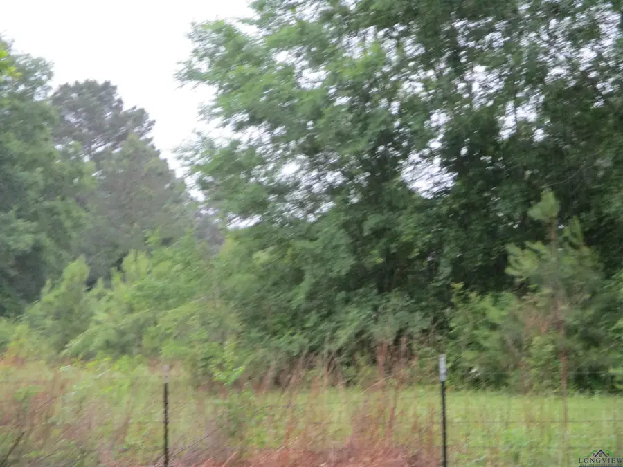 0000 S FM 839, Henderson, TX 75654-0000 - Image #3