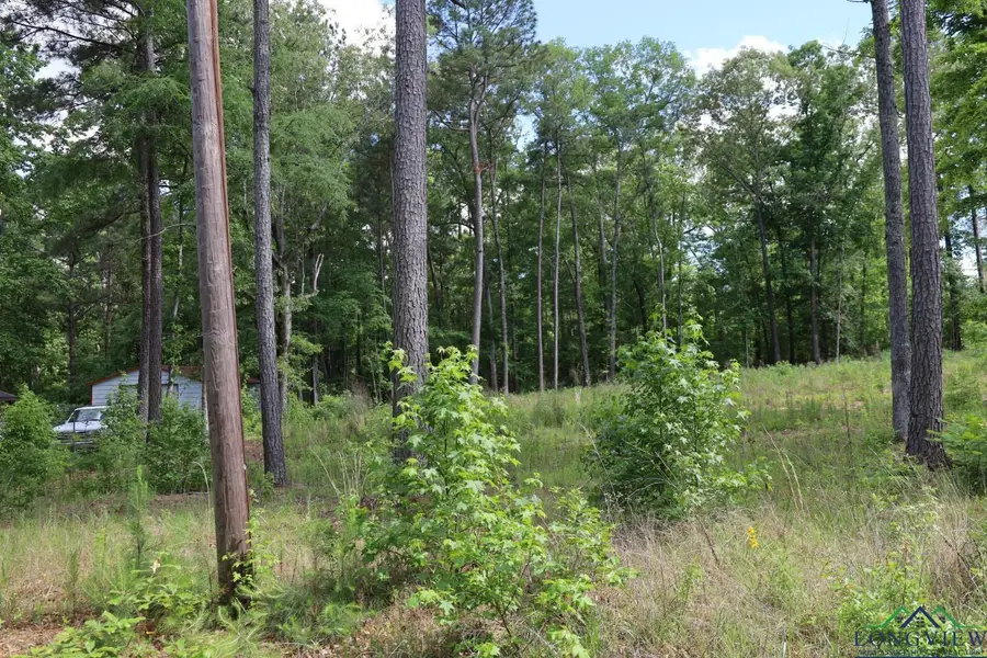 TBD Forestwood lot 429, Gilmer, TX 75645 - Image #2