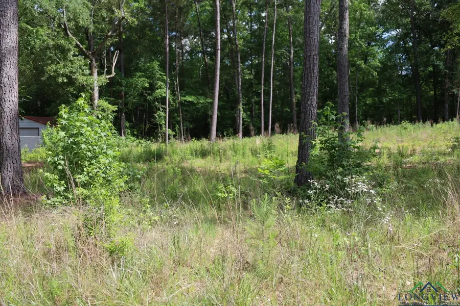 TBD Forestwood lot 429, Gilmer, TX 75645 - Image #3