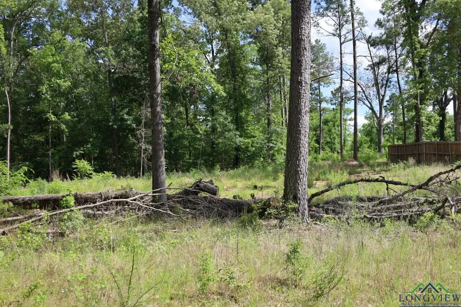 TBD Forestwood/dogwood, Gilmer, TX 75645 - Image #2