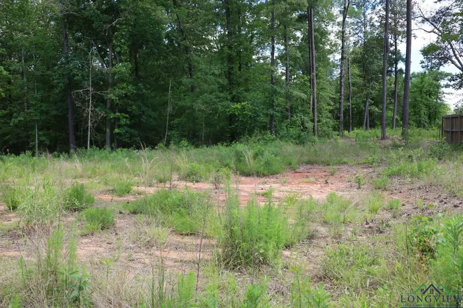 TBD Forestwood/dogwood, Gilmer, TX 75645 - Image #3
