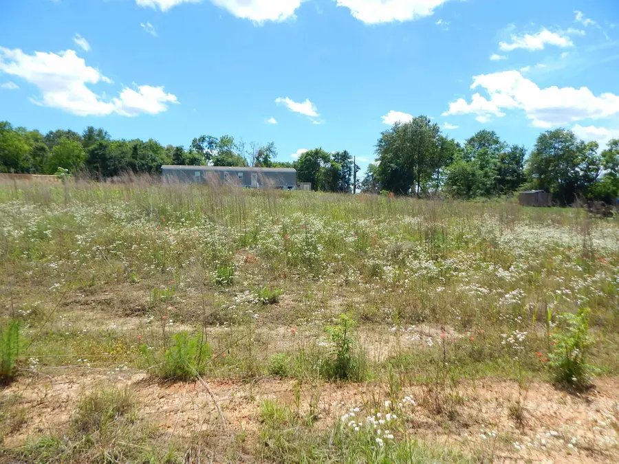 TBD LOT 7 ZELA RD., Gilmer, TX 75644 - #2