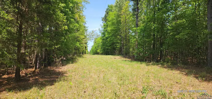 CR 3230, Clarksville, TX 75426 - Image #2