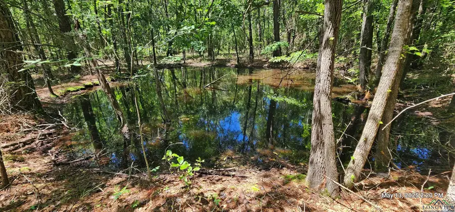 CR3230, Clarksville, TX 75426 - Image #2