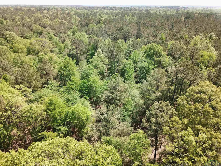 CR3230, Clarksville, TX 75426 - Image #3