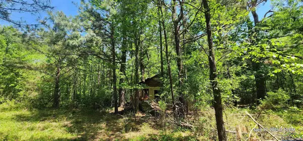 CR 3233, Clarksville, TX 75426