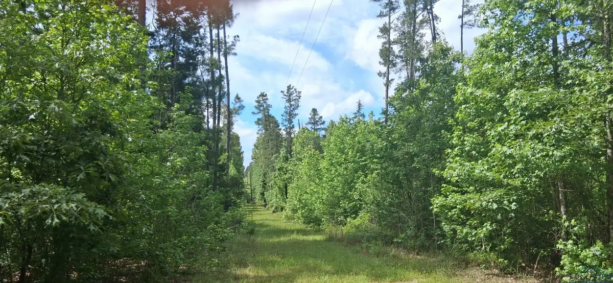 TBD Cass County Road 1581, Avinger, TX 75630 - Image #1