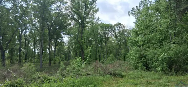 tbd Cass County road 2925, Hughes Springs, TX 75656