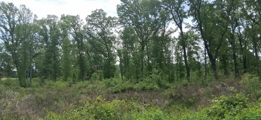 tbd Cass County road 2925, Hughes Springs, TX 75656 - Image #2