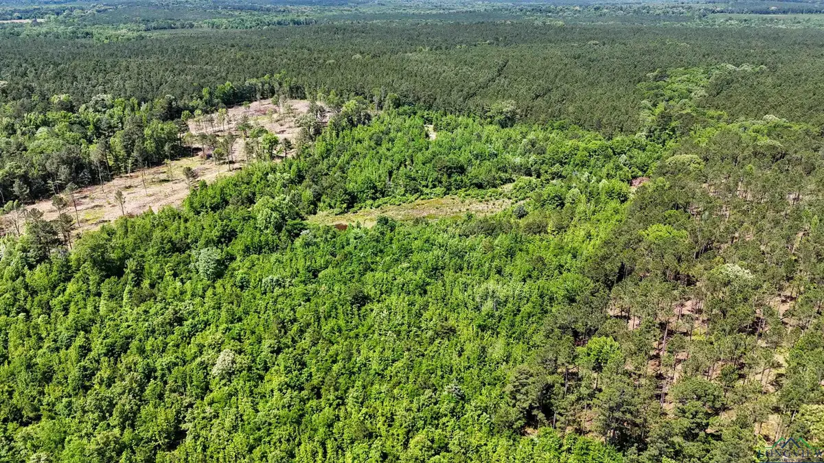 TBD Sand Country Rd, Jefferson, TX 75656 - Image #1