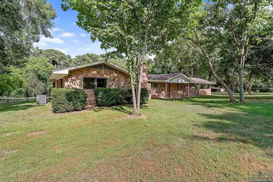 1621 Baseball Loop, Diana, TX 75640 - #2