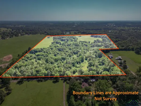 TBD CR 4460, Winnsboro, TX 75494