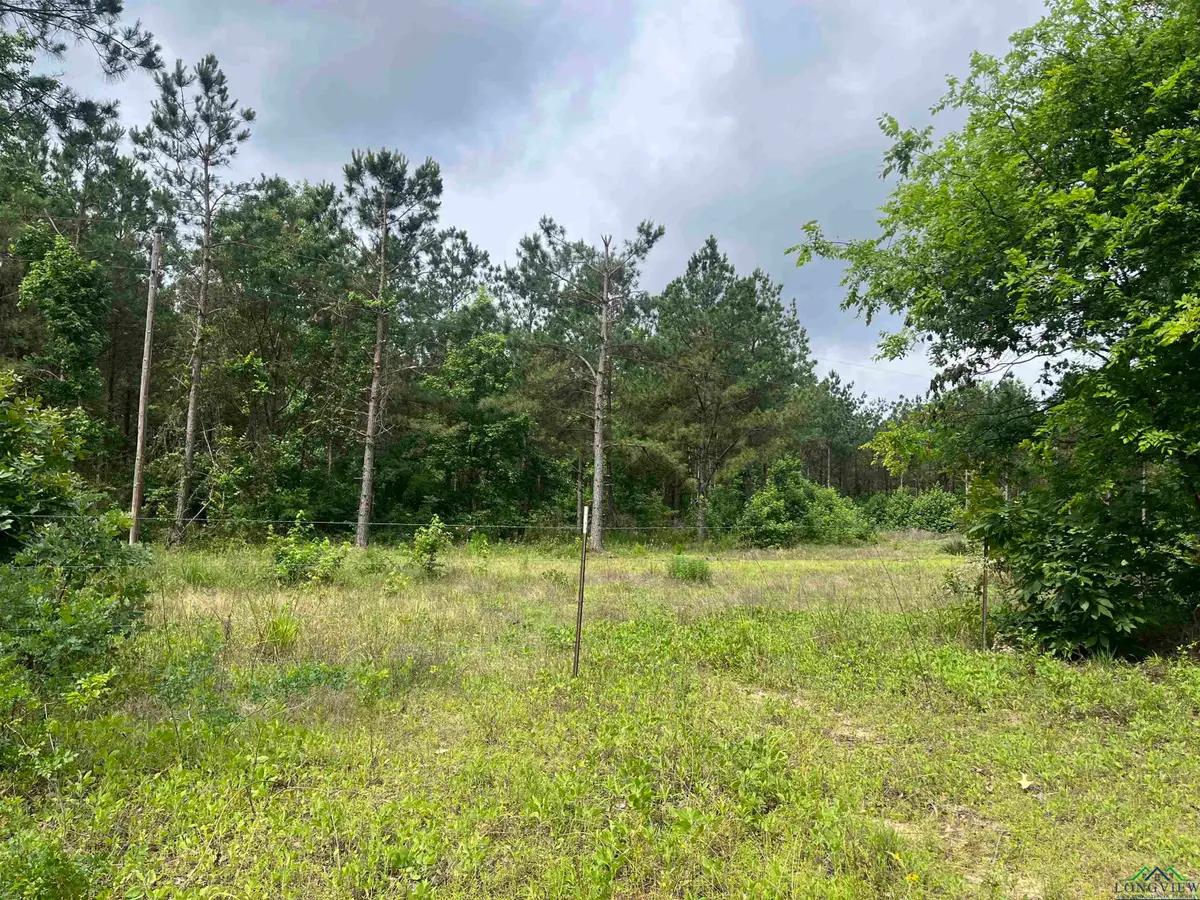 TBD Trinity Rd, Jefferson, TX 75657 - Image #1