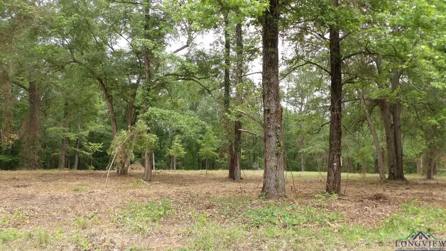 18 AC SHELLEY RD, Jefferson, TX 75657 - Image #2