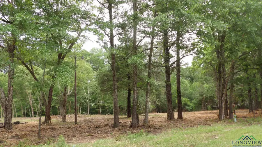 18 AC SHELLEY RD, Jefferson, TX 75657 - Image #3