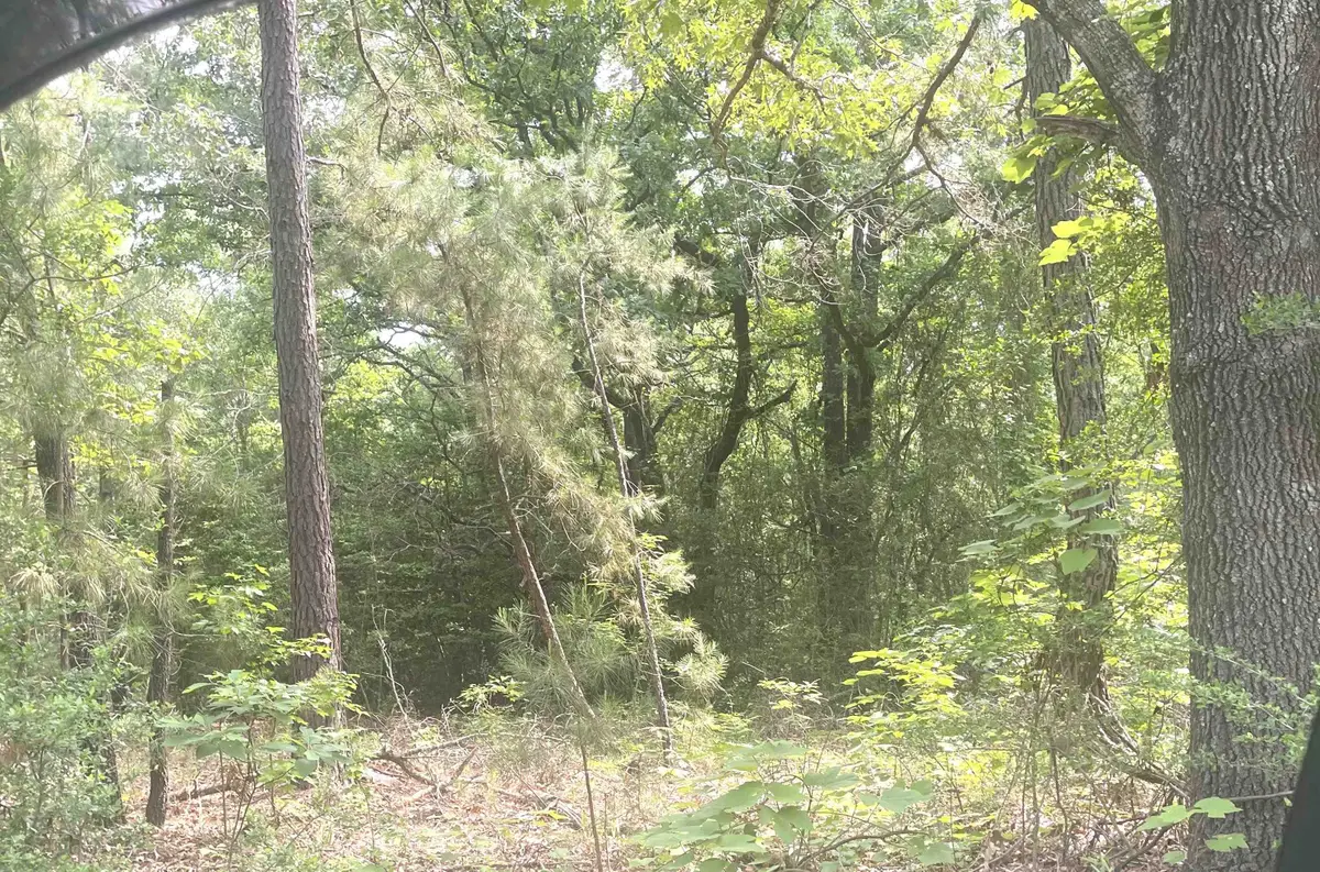 TBD CR 205, Henderson, TX 75652 - #1