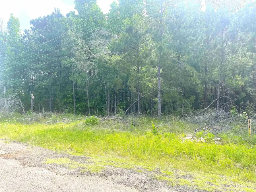 TBD CR 205, Henderson, TX 75652 - #2