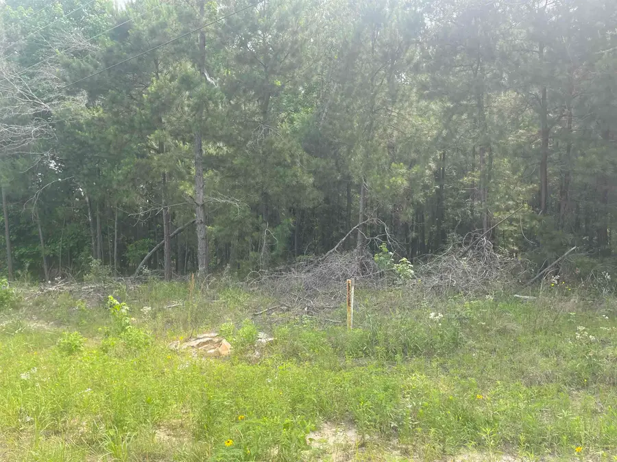 TBD CR 205, Henderson, TX 75652 - #3